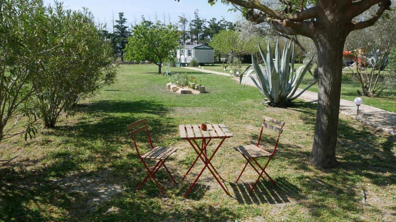 Appartement Mas Maurane - Les Lavandes à Tarascon Extérieur photo